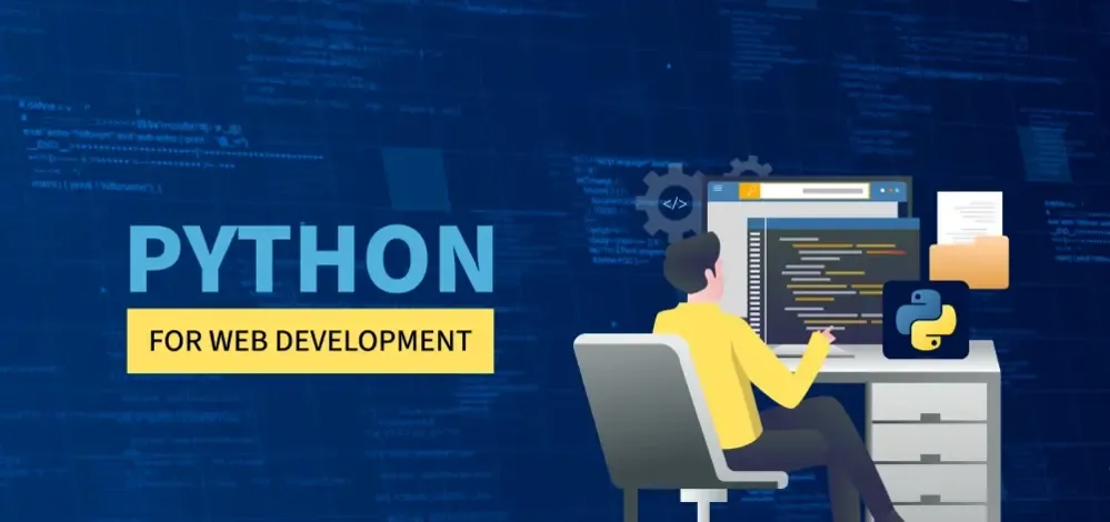 Custom Python (Django/Flask) Web Application