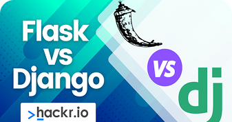 Custom Python (Django/Flask) Web Application